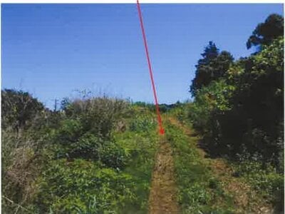 (値下げ) 神奈川県足柄下郡湯河原町 真鶴駅10分 農地 1,699万円の競売物件 #6