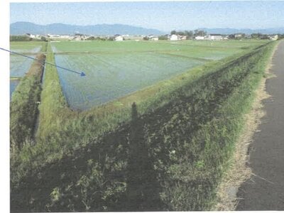 福井県坂井市 下兵庫こうふく駅 農地 63万円の競売物件 #2