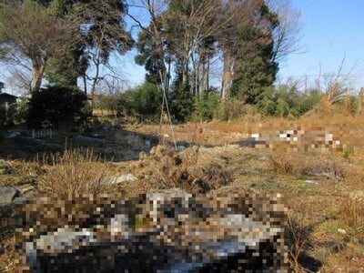(値下げ) 栃木県小山市 結城駅 農地 6万円の国税庁公売物件 #1