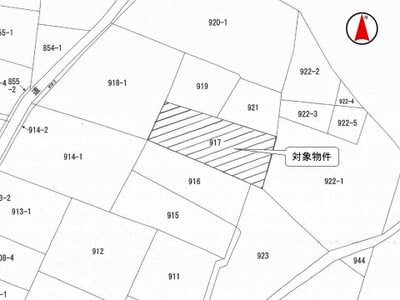 (値下げ) 栃木県小山市 結城駅 農地 7万円の国税庁公売物件 #2