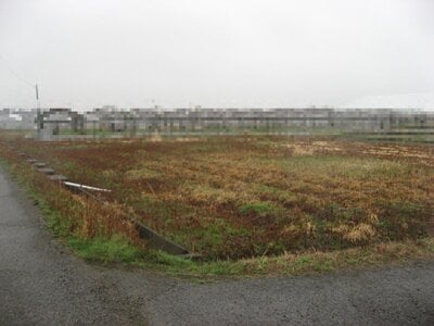 (値下げ) 新潟県新潟市江南区 東新潟駅20分 農地 13万円の国税庁公売物件 #1