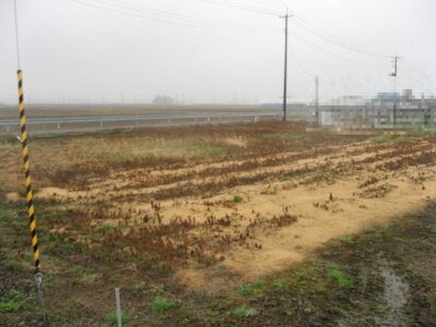 (値下げ) 新潟県新潟市江南区 東新潟駅20分 農地 13万円の国税庁公売物件 #2