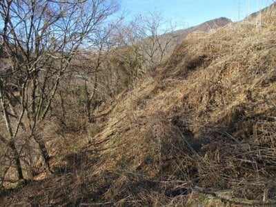 (値下げ) 長野県佐久市 信濃追分駅 土地 23万円の国税庁公売物件 #2