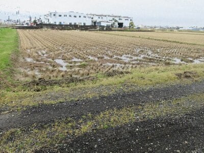 新潟県新潟市南区 燕駅 農地 39万円の国税庁公売物件 #1