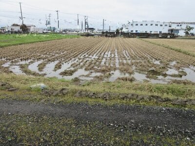 新潟県新潟市南区 燕駅 農地 39万円の国税庁公売物件 #2