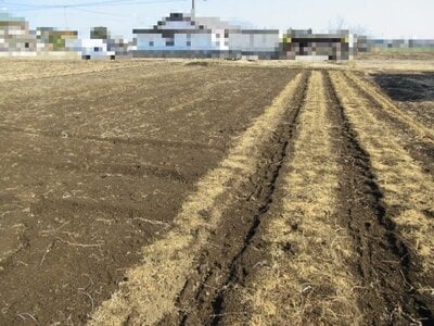 栃木県小山市 結城駅 農地 45万円の国税庁公売物件 #2