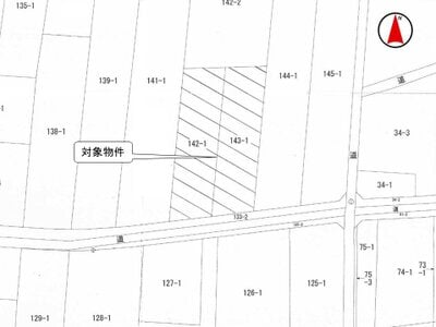 (値下げ) 群馬県伊勢崎市 神保原駅 農地 49万円の国税庁公売物件 #3