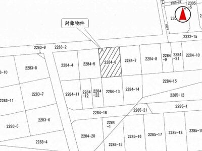 (値下げ) 栃木県日光市 明神駅13分 農地 49万円の国税庁公売物件 #3