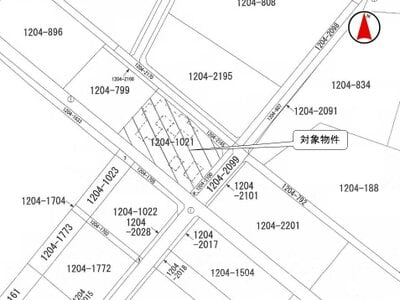 (値下げ) 群馬県前橋市 敷島駅 土地 52万円の国税庁公売物件 #3