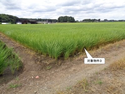 栃木県小山市 間々田駅 農地 52万円の国税庁公売物件 #2