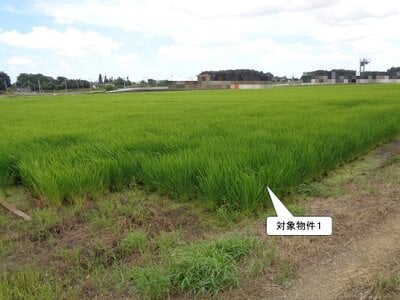 栃木県小山市 間々田駅 農地 55万円の国税庁公売物件 #3