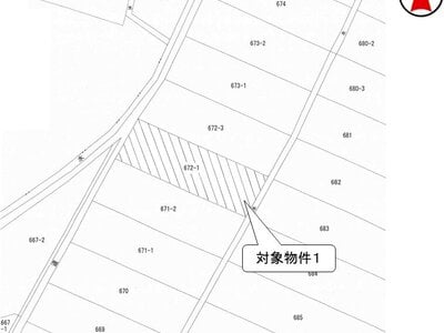栃木県小山市 間々田駅 農地 55万円の国税庁公売物件 #5