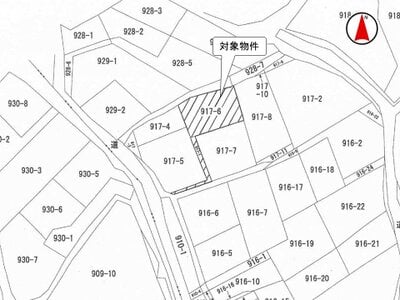 栃木県鹿沼市 北鹿沼駅17分 土地 70万円の国税庁公売物件 #5