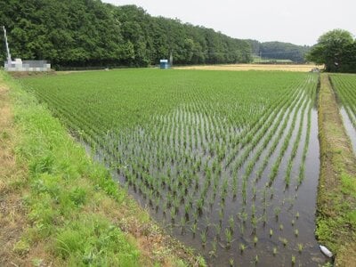 栃木県大田原市 西那須野駅 農地 77万円の国税庁公売物件 #1