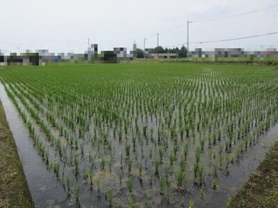栃木県大田原市 西那須野駅 農地 77万円の国税庁公売物件 #2