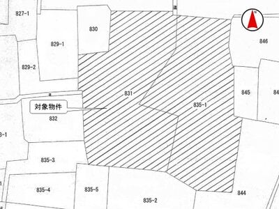(値下げ) 栃木県小山市 結城駅 農地 101万円の国税庁公売物件 #3