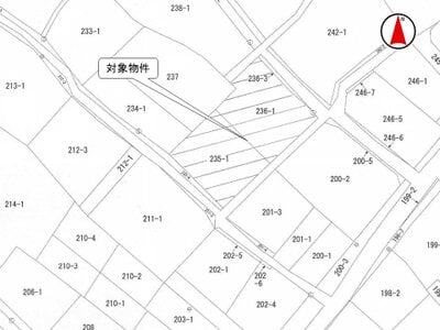 (値下げ) 群馬県桐生市 神戸駅 土地 133万円の国税庁公売物件 #3