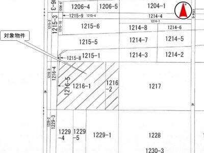 新潟県糸魚川市 えちご押上ひすい海岸駅11分 土地 451万円の国税庁公売物件 #3