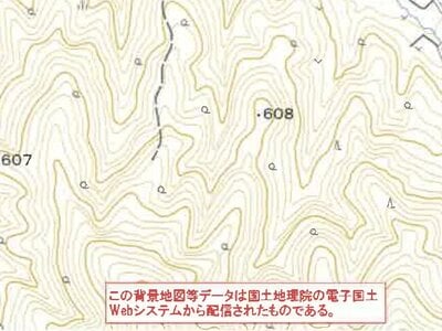 山梨県笛吹市 石和温泉駅 土地 44万円の競売物件 #12