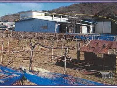 山梨県西八代郡市川三郷町 芦川駅2分 戸建て 821万円の競売物件 #7