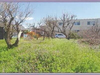 山梨県甲府市 甲斐住吉駅8分 農地 1,259万円の競売物件 #6
