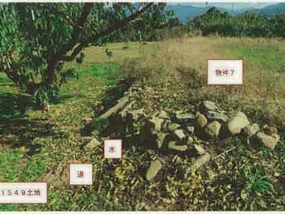 山梨県笛吹市 山梨市駅 農地 89万円の競売物件 #8