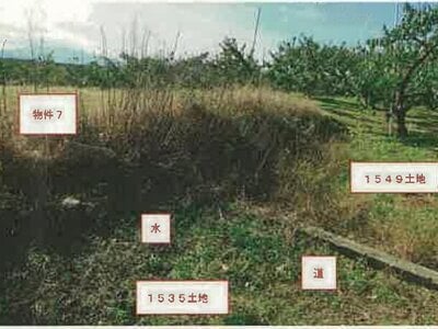 山梨県笛吹市 山梨市駅 農地 89万円の競売物件 #9