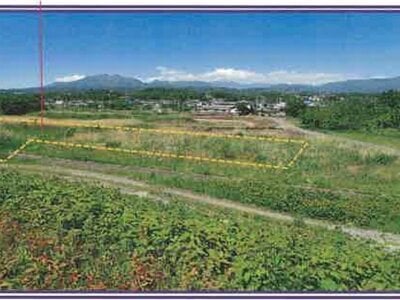 (値下げ) 山梨県甲斐市 塩崎駅13分 農地 12万円の競売物件 #2