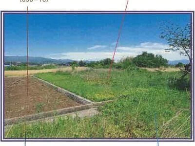 (値下げ) 山梨県甲斐市 塩崎駅13分 農地 12万円の競売物件 #4