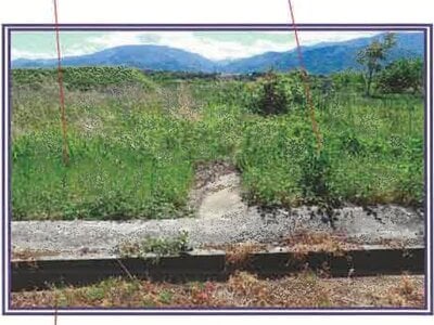 (値下げ) 山梨県甲斐市 塩崎駅13分 農地 12万円の競売物件 #6