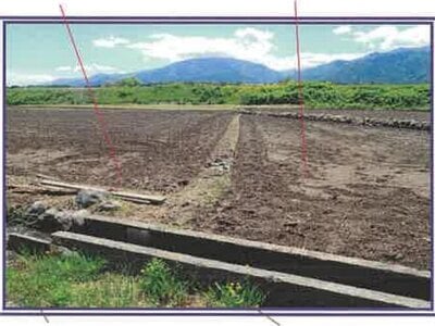 (値下げ) 山梨県甲斐市 塩崎駅13分 農地 19万円の競売物件 #25