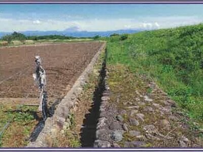 (値下げ) 山梨県甲斐市 塩崎駅13分 農地 19万円の競売物件 #9
