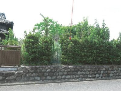 愛知県名古屋市港区 港北駅26分 土地 1,867万円の競売物件 #7