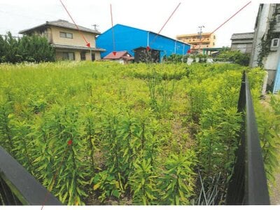 愛知県名古屋市港区 港北駅23分 農地 3,005万円の競売物件 #2