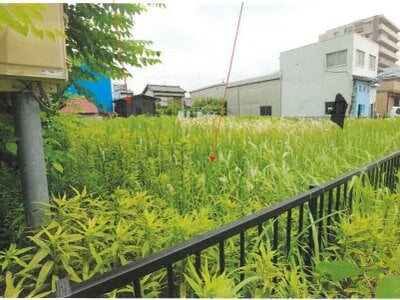 愛知県名古屋市港区 港北駅23分 農地 3,005万円の競売物件 #4