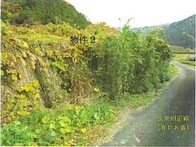 (値下げ) 鳥取県八頭郡八頭町 丹比駅8分 土地 369万円の競売物件 #3