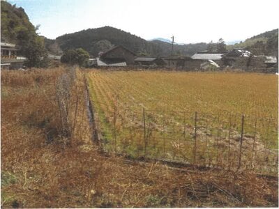 佐賀県唐津市 鹿家駅 農地 24万円の競売物件 #6