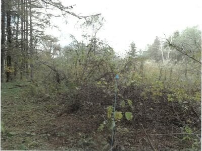 福島県耶麻郡北塩原村 土地 134万円の競売物件 #31