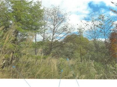 福島県耶麻郡北塩原村 土地 134万円の競売物件 #34