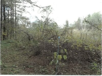 福島県耶麻郡北塩原村 戸建て 660万円の競売物件 #31