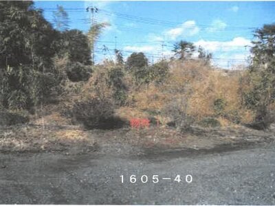 (値下げ) 栃木県鹿沼市 鹿沼駅30分 土地 386万円の競売物件 #2