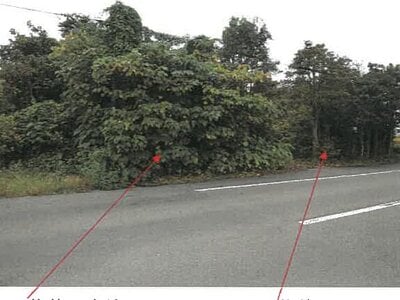 岐阜県羽島市 不破一色駅29分 戸建て 449万円の競売物件 #2