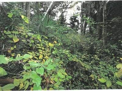 岐阜県羽島市 不破一色駅29分 戸建て 449万円の競売物件 #21