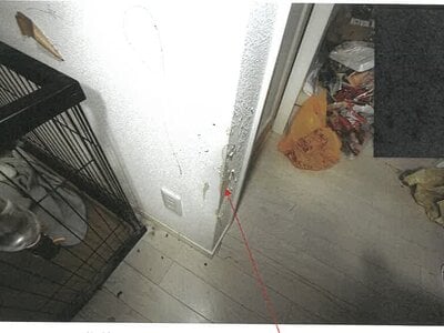 岐阜県羽島市 竹鼻駅3分 戸建て 792万円の競売物件 #3