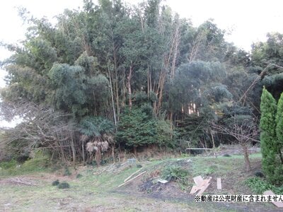 千葉県山武郡横芝光町 横芝駅 土地 8万円の国税庁公売物件 #1