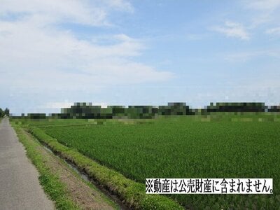 千葉県東金市 求名駅 農地 14万円の国税庁公売物件 #1