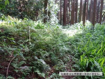 千葉県東金市 求名駅21分 土地 22万円の国税庁公売物件 #2