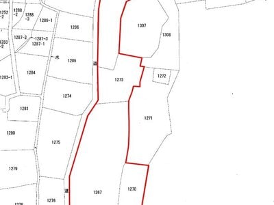 千葉県東金市 求名駅21分 土地 22万円の国税庁公売物件 #3
