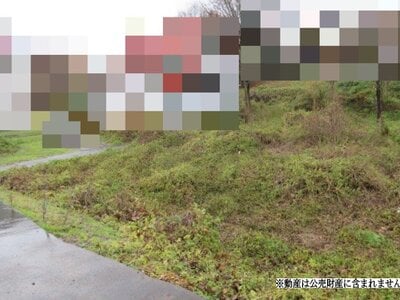 新潟県上越市 二本木駅17分 農地 49万円の国税庁公売物件 #1