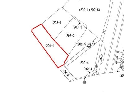 新潟県上越市 二本木駅17分 農地 49万円の国税庁公売物件 #2